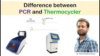 Difference between PCR and thermocycler.
