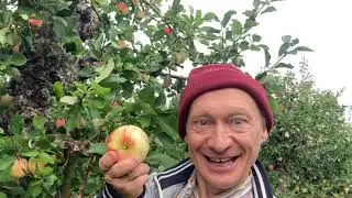 Palla äpple i Ramlösa Plantskola , yes , med Elli Salmela kram mamma tack för idag. 🥰❤️😀🍎🍏🍎🍏🍎🍏🍎🍏
