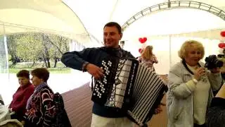 Расцвела под окошком белоснежная вишня