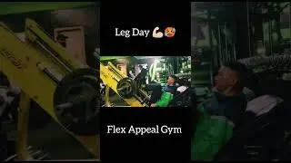 Incline Leg Press Exercise 🥵 