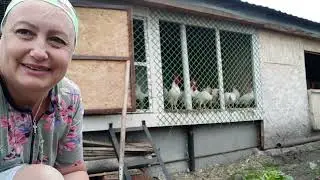 Обычно Это За Кадром