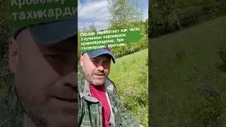 Восстанавливаем сердце!