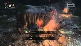Bloodborne - Oink Oink Want Bacon!