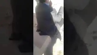 Кирначи бобо