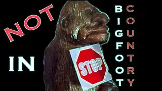 Not In Bigfoot Country | Mobile Mechanic | Cool Cat Named Winston | Hire Wildman