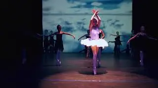 El carnaval de los animales (el Cisne) - Damara