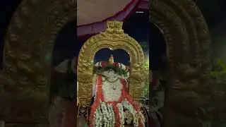 Kanchi Sri Devaperumal Raaja Nadai❤️