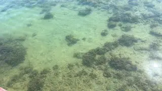 🔴Explore Cyprus is live from the Mediterranean Sea in Cyprus🐠