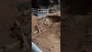 I found a mysterious GIANT skeleton in a CAVE in Thailand 🇹🇭 