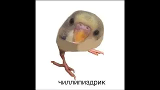 туда сюда пиздюлей нашел