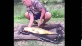 ?