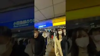 Japan at 8 pm #japan #shoshou#viralvideo ld uld