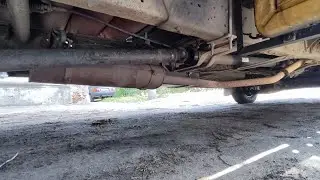 Газель моя газель....😙