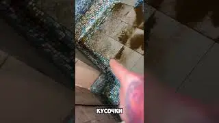 Умка разводит комаров (на бабки)