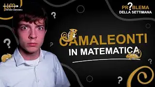 Camaleonti e MATEMATICA! Esercizio molto interessante - Problema della settimana #9