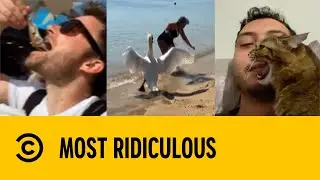 Pesky Pets | Most Ridiculous