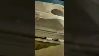 тот самый носильщик чемоданов в аеропорте