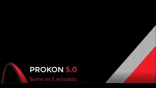 Sumo in 5 minutes