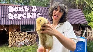 день из жизни В ДЕРЕВНЕ / влог