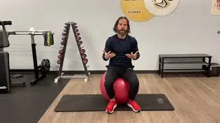 Fix Sciatica Pain-Stage 1 Mobility Hip Circles