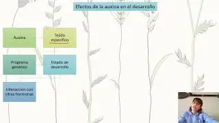 Clase aux y cks P2