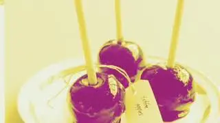 Edible Bugs