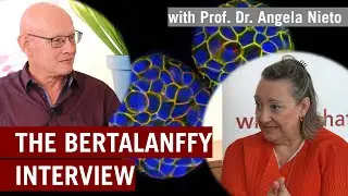 Science, Opportunities and life-long Friendships | Bertalanffy Interview with Angela Nieto