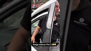 YOLA DÜŞEN KARGAYI DİGER KARGALAR KORUMAYA ÇALIŞTI KARGAYA DOKUNMAYA ÇALIŞANLARA SALDIRDILAR #karga