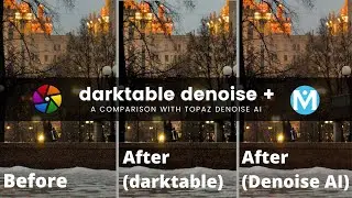 darktable noise reduction and how does it compare to Topaz Denoise AI