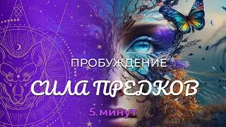 «Пробуждение» :: Сила Предков :: Кен Ко Баал