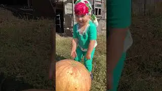 Катаю тыквы 