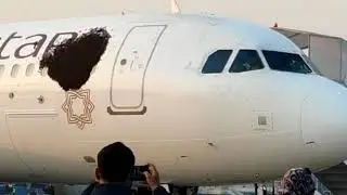 Rarest Of Rare 😱 : Honey Bee attack on an Aircraft at Kolkata Airport | Vistara Airbus A320 Neo