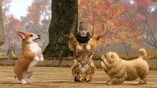 Archeage/Луций/ PJP vs недоФФ