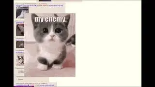 Oh the misery 4chan cat thread