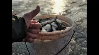Рыбалка в Астрахани! Отвели Душу! А что ещё для Счастья надо?