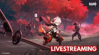 Seperti biasa kalo di genshin ya :v | Genshin Impact Indonesia