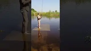 @Тестування цикади