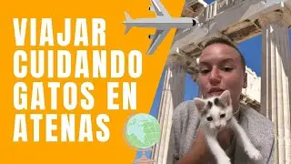 Viajar barato a Atenas| Pasé un mes cuidando gatos en la capital griega