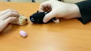 школьные будни хомяков#драма #хомяк#экшен #мем