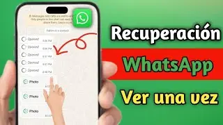 Cómo recuperar fotos y vídeos de WhatsApp vistos una vez (2026) | Método totalmente funcional