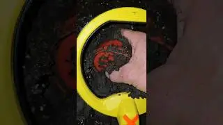 They had no idea what they were walking on