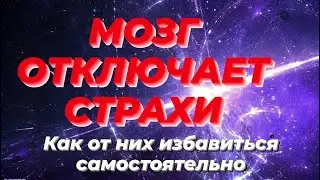 Подсознание, сознание, Душа. Что, где, когда.