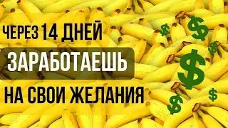 Проверенный способ как заработать на любимом деле. Мотивация на заработок