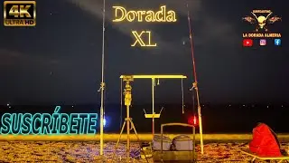 🟡NOCHE CON MUCHA ACTIVIDAD, PROBANDO CEBO🐛, DORADA, SARGOS, HERRERAS🟡