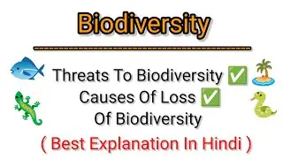 Threats To Biodiversity | Causes Of Loss Of Biodiversity | In Hindi