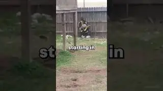 9 year old gives tips to avoid whisky throttle