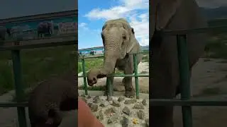 Это был крутой трюк!