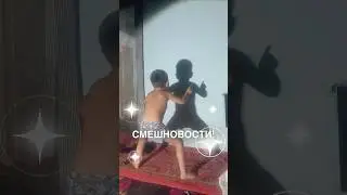 Смешновости 173 - для удачного дня! 😂 #истории #история #новости #новость #shorts