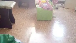Собираю Банду