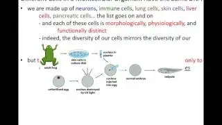 Lecture 7 - Control of Gene Expression (Chapter 8, Part 1)